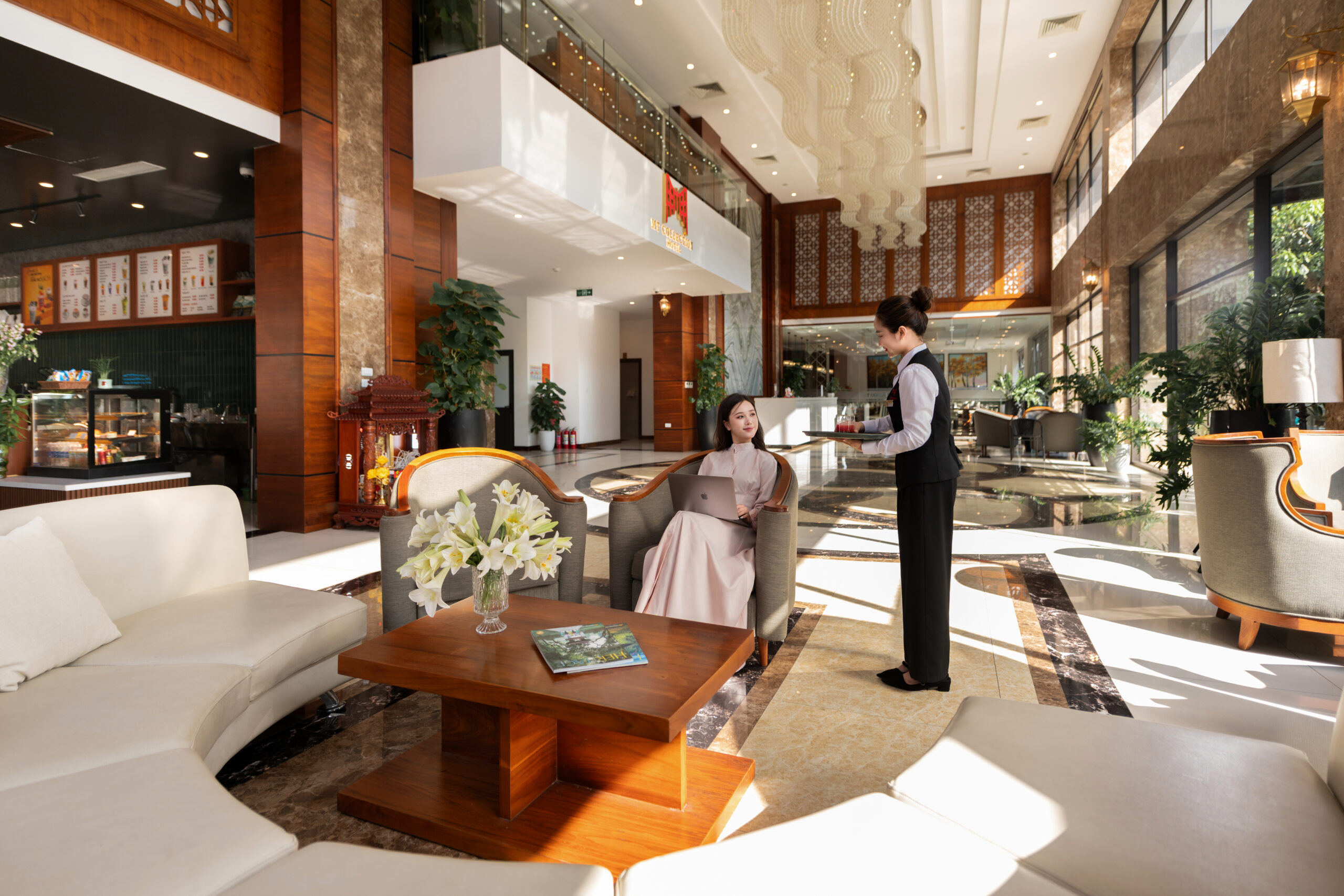 Mt Collection MT Collection Hotels